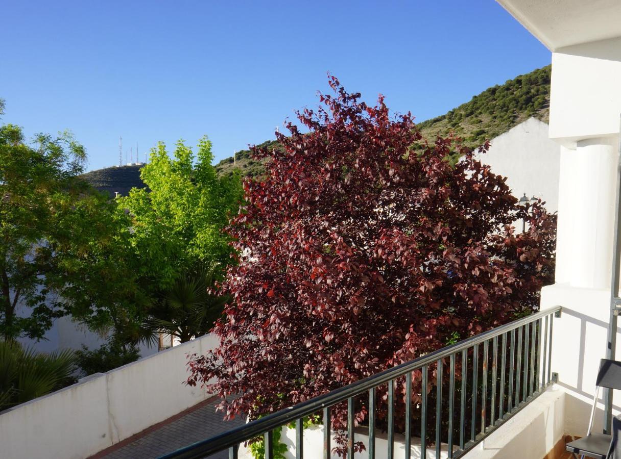 Cute And Relaxing Bed And Breakfast En Albayzin Granada Dış mekan fotoğraf