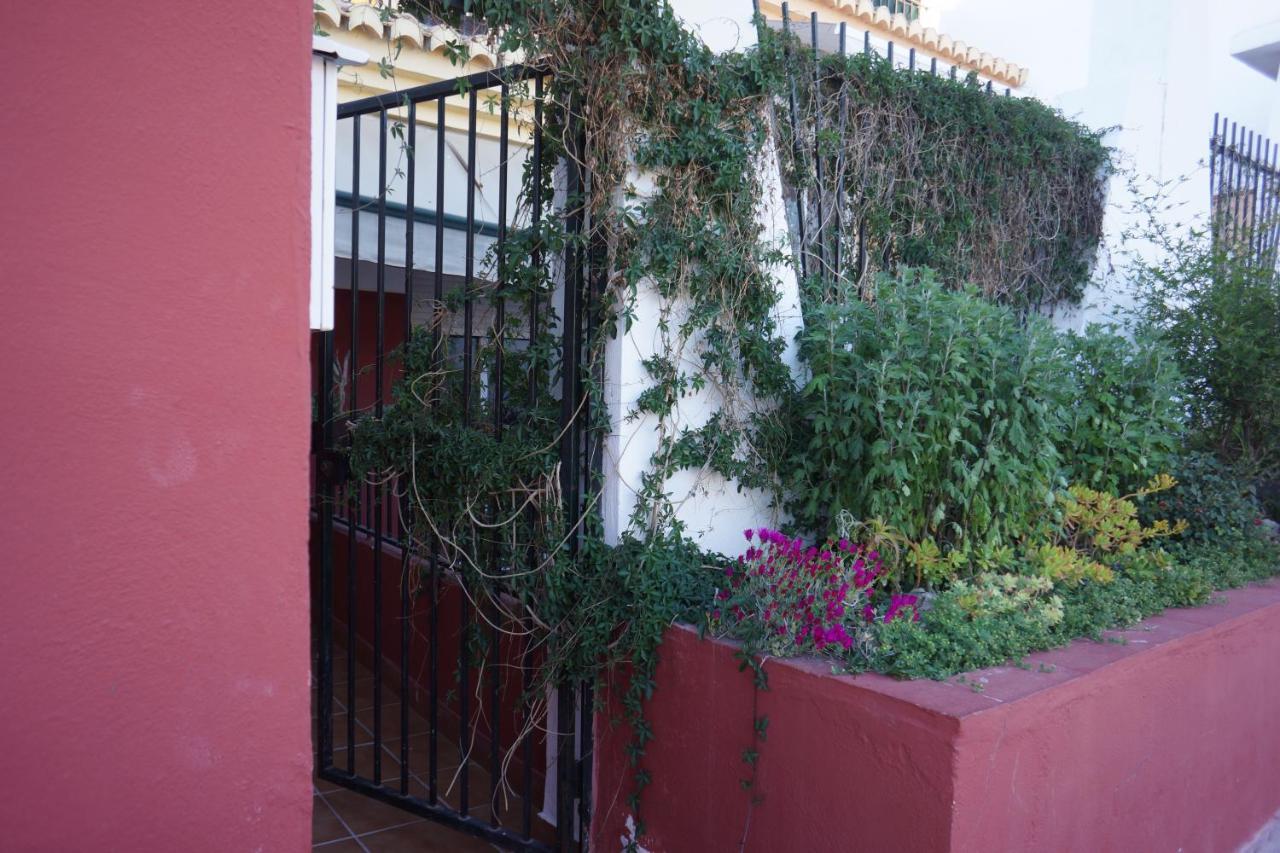 Cute And Relaxing Bed And Breakfast En Albayzin Granada Dış mekan fotoğraf